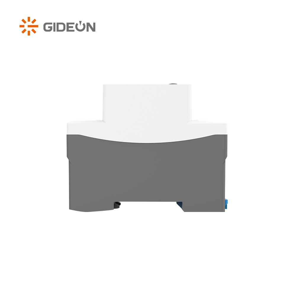 GD-V589-DVA 220V DIN Rail Montado de voltaje doméstico Protector
